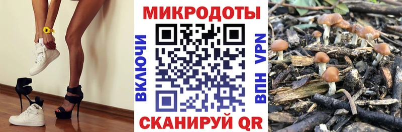 Купить где  Голицыно  Псилоцибиновые грибы ЛСД 